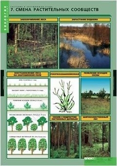 Комплект плакатов Биология. Растения и окружающая среда
