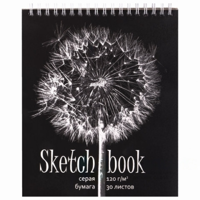 Скетчбук, серая бумага 120 г/м2, 170х195 мм, 30 л., гребень, подложка, цветная фольга, "Одуванчик", 98672