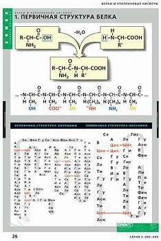 Комплект плакатов Химия. Белки и нуклеиновые кислоты