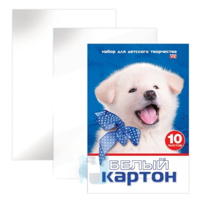 Картон белый А4 МЕЛОВАННЫЙ, 10 листов, в папке, HATBER VK, 205х295 мм, Белый щенок,10Кб4 15023, N234884