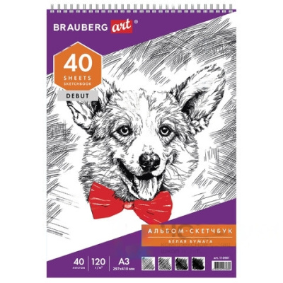 Скетчбук, белая бумага 120 г/м2, 297х410 мм, 40 л., гребень, жёсткая подложка, BRAUBERG ART DEBUT, 110981