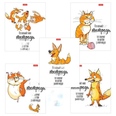 Тетрадь А5, 48 л., HATBER, скоба, клетка, матовая ламинация, "Кто возьмет тетрадь" (5 видов в спайке), 48Т5лВ1