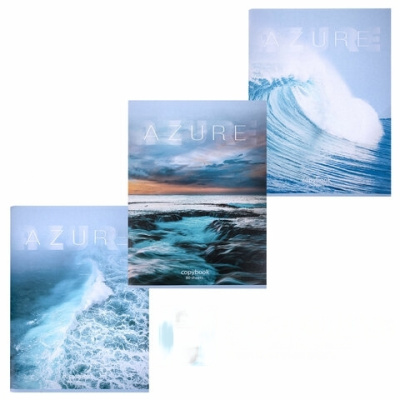 Тетрадь А4, 80 л., STAFF "Basic", скоба, клетка, офсет №2 ЭКОНОМ, обложка картон, "Ocean", 404044