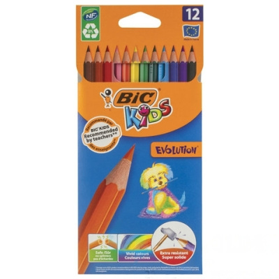 Карандаши цветные BIC "Kids ECOlutions Evolution", 12 цветов, пластиковые, заточенные, европодвес, 82902910