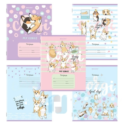 Тетрадь 12 л. BRAUBERG, клетка, обложка картон, "КОРГИ", 106460