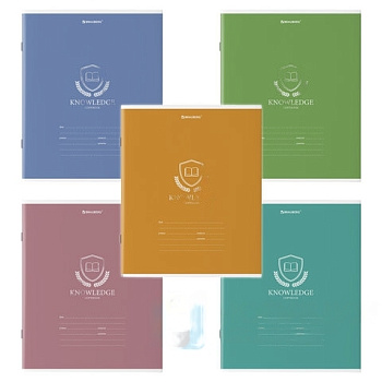 Тетрадь 18 л. BRAUBERG линия, обложка картон, "ОДНОТОННЫЙ С ЭМБЛЕМОЙ", 106483