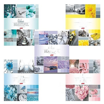Тетрадь А5, 96 л., HATBER, скоба, клетка, обложка картон, "BEAUTIFUL COLOURE" (5 видов), 96Т5В1, T241349