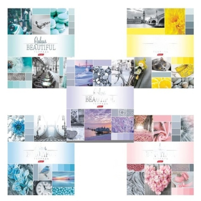Тетрадь А5, 96 л., HATBER, скоба, клетка, обложка картон, "BEAUTIFUL COLOURE" (5 видов), 96Т5В1, T241349