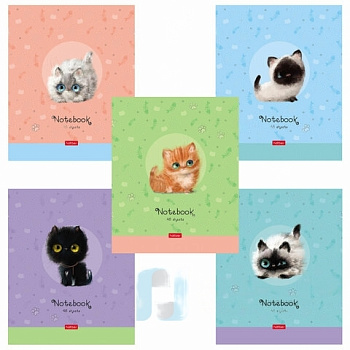 Тетрадь А5 48 л. HATBER скоба, клетка, обложка картон, "Кошарики" (5 видов в спайке), 48Т5В1