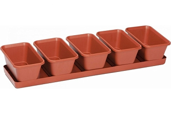 Ящик для рассады