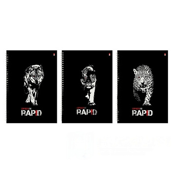 Тетрадь А4, 96 л., АЛЬТ, гребень, клетка, глянцевая ламинация, "Rapid" (3 вида), 7-96-1122