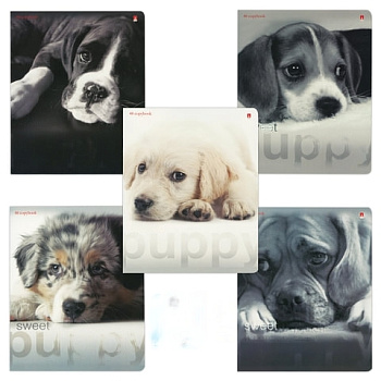 Тетрадь А5, 48 л., АЛЬТ, скоба, клетка, УФ-лак, "ЩЕНКИ" (5 видов), 7-48-640