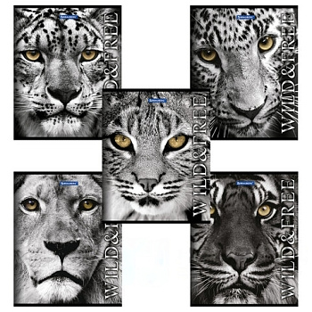 Тетрадь А5, 48 л., BRAUBERG, клетка, обложка картон, ДИКИЕ И СВОБОДНЫЕ, 401810