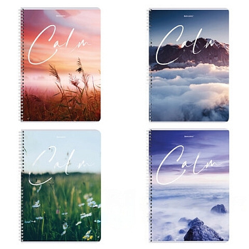 Тетрадь А4, 96 л., BRAUBERG, гребень, клетка, обложка картон, "Calm", 404059