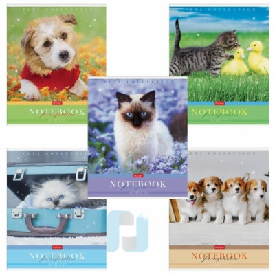 Тетрадь А5 48 л. HATBER скоба, клетка, обложка картон, "Усы, лапы, хвост" (5 видов в спайке), 48Т5В1