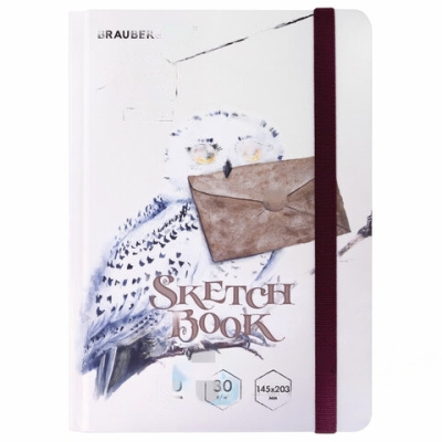 Скетчбук, белая бумага 80 г/м2, 145х203 мм, 80 л., резинка, твердый, BRAUBERG ART DEBUT "Хогвартс", 114581