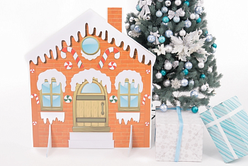 Декорация Зимний дом