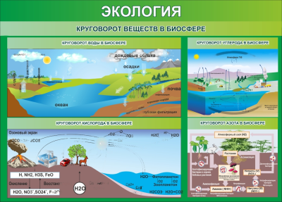 Стенд Круговорот веществ в биосфере, 1400х1000 мм