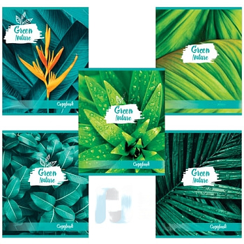 Тетрадь А5, 48 л., BRAUBERG, клетка, обложка картон, GREEN NATURE, 403033