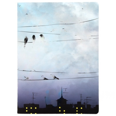 Тетрадь 60 л. в клетку обложка SoftTouch, бежевая бумага 70 г/м2, сшивка, В5 (179х250 мм), ТУМАН, BRAUBERG, 1403819