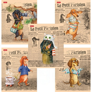 Тетрадь А5, 48 л., HATBER, скоба, клетка, обложка картон, ТаксаLIFE (5 видов в спайке), 48Т5В1