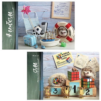 Альбом для рисования, А4, 40 л., гребень, TWIN лак, ПЗБМ, 205х295 мм, "Тайная жизнь ежей" (2 вида), 047613