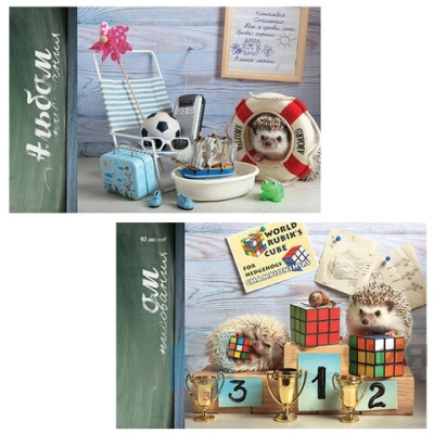 Альбом для рисования, А4, 40 л., гребень, TWIN лак, ПЗБМ, 205х295 мм, "Тайная жизнь ежей" (2 вида), 047613