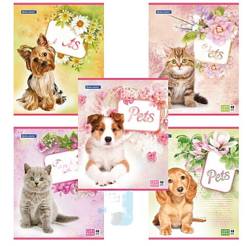 Тетрадь А5, 48 л., BRAUBERG, клетка, обложка картон, ЛЮБИМЧИКИ, 401816