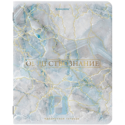 Тетрадь предметная "PASTEL" 48 л., SoftTouch, фольга, ОБЩЕСТВОЗНАНИЕ, клетка, BRAUBERG, 404310