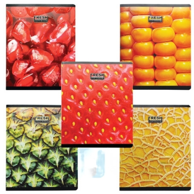 Тетрадь А5, 48 л., ПЗБМ, скоба, клетка, конгрев, выборочный TWIN лак, "Витаминка" (5 видов), 026733