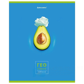 Тетрадь предметная "AVOCADO" 48 л., глянцевый лак, ГЕОГРАФИЯ, клетка, BRAUBERG, 404277