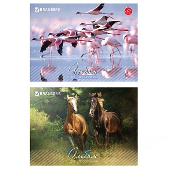 Альбом для рисования, А4, 32 листа, скоба, обложка картон, BRAUBERG, 200х283 мм, "Живая природа" (2 вида), 103683