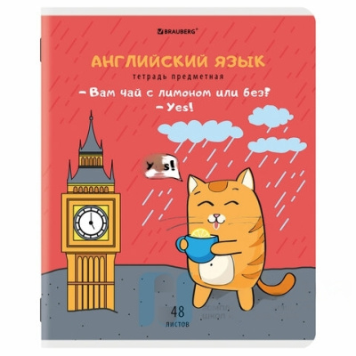 Тетрадь предметная "КОТ-ЭНТУЗИАСТ" 48л, TWIN лак, АНГЛИЙСКИЙ ЯЗЫК, клетка, BRAUBERG, 404558