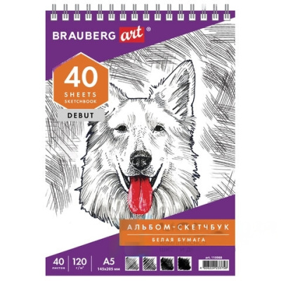 Скетчбук, белая бумага 120 г/м2, 145х205 мм, 40 л., гребень, жёсткая подложка, BRAUBERG ART DEBUT, 110988