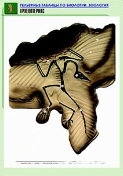 Комплект плакатов Биология 10-11классы. Цитология. Генетика. Селекция