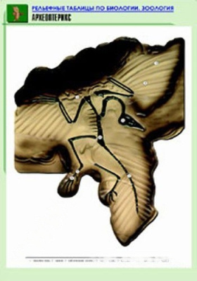 Комплект плакатов Биология 10-11классы. Цитология. Генетика. Селекция