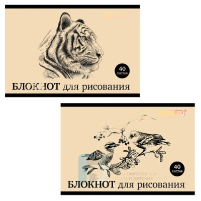 Блокнот для рисования, А4, 40 л., скоба, обложка офсет, горизонтальный, ПИФАГОР, 200х285 мм, "Дикий мир", 2 вида, 104874