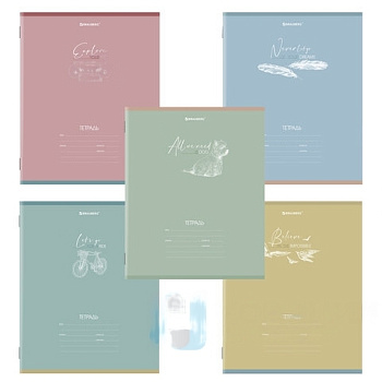 Тетрадь 24 л. BRAUBERG клетка, обложка картон, "PASTEL", 106486