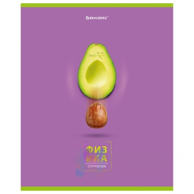Тетрадь предметная "AVOCADO" 48 л., глянцевый лак, ФИЗИКА, клетка, BRAUBERG, 404283