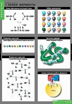 Комплект плакатов Биология. Химия клетки