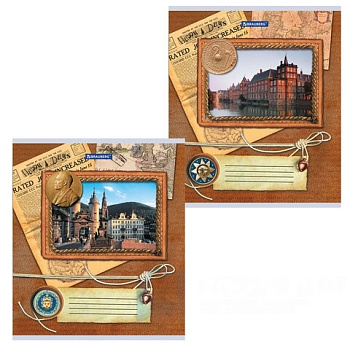 Тетрадь А5, 96 л., BRAUBERG, клетка, обложка картон, ТЕТРАДЬ, 401290