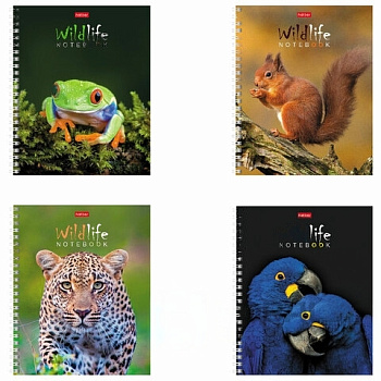 Тетрадь А5, 80 л., HATBER гребень, клетка, обложка картон, "ЗОО_мир" (4 вида в спайке), 80Т5В1гр