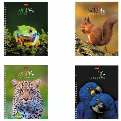 Тетрадь А5, 80 л., HATBER гребень, клетка, обложка картон, "ЗОО_мир" (4 вида в спайке), 80Т5В1гр