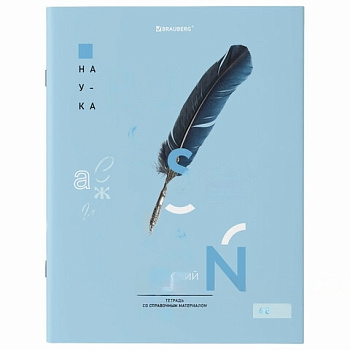 Тетрадь предметная со справочным материалом VISION 48 л., обложка картон, РУССКИЙ ЯЗЫК, линия, BRAUBERG, 404258