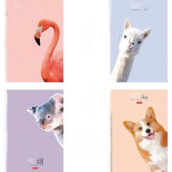 Тетрадь А4 96 л. HATBER гребень, клетка, матовая ламинация, "Кто здесь?" (4 вида в спайке), 96Т4лВ1гр