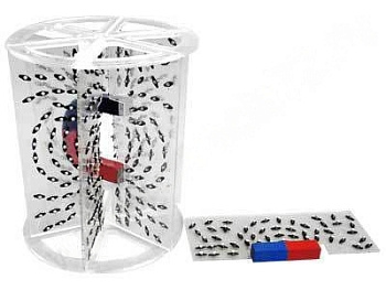 Модель для демонстрации в объеме линий магнитного поля