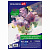 Бумага для акварели А4, 40 л., "СИРЕНЕВЫЙ БУКЕТ", среднее зерно, 200 г/м2, ГОЗНАК, BRAUBERG ART "CLASSIC", 112321