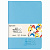 Тетрадь 48 л. в клетку обложка кожзам SoftTouch, сшивка, A5 (147х210мм), ГОЛУБОЙ, BRAUBERG RAINBOW, 403880