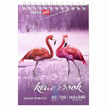 Скетчбук, белая бумага 120 г/м2 165х240 мм, 80 л., гребень, твердая обложка, BRAUBERG ART DEBUT, 112990