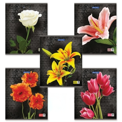 Тетрадь А5, 48 л., BRAUBERG, клетка, блестки, ЦВЕТЫ, 401839